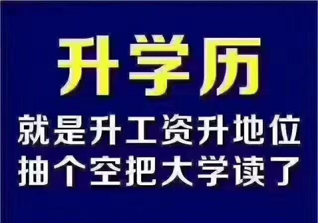 成都领孚教育咨询有限公司